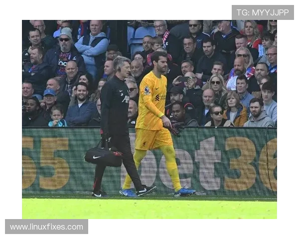 阿利松转会费创门将纪录