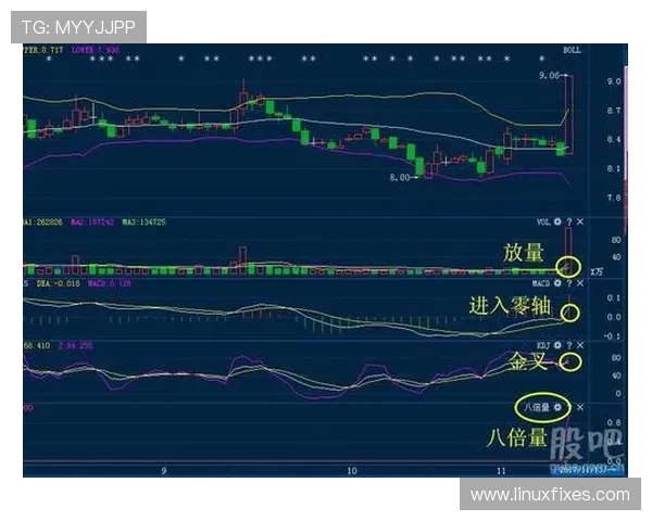 G组黑马机会与风险分析
